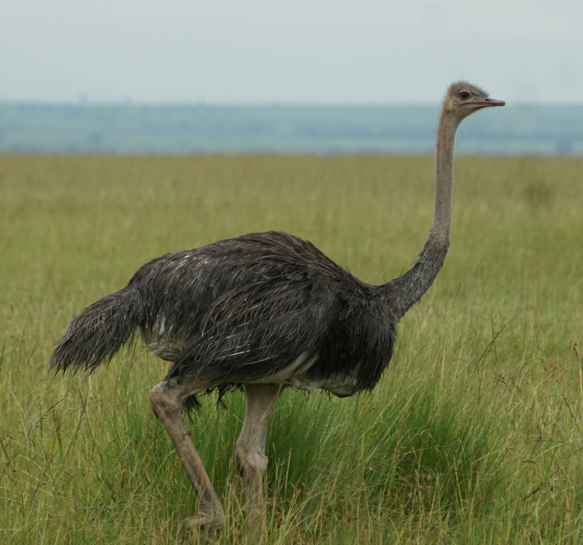 Gurth Bramall QCQhvsxT MI Unsplash 1